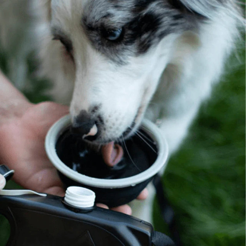 Durable Multi-Function Dog Leash with Built-In Water Bottle and Bowl